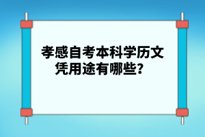 孝感自考本科學歷文憑用途有哪些?